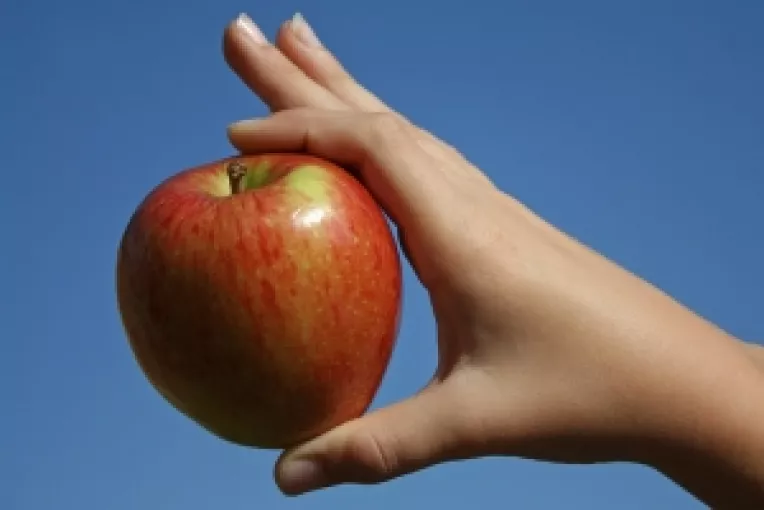 Eurodeputata PSD Daciana Sarbu: 5 intrebari pe adresa Guvernului Boc