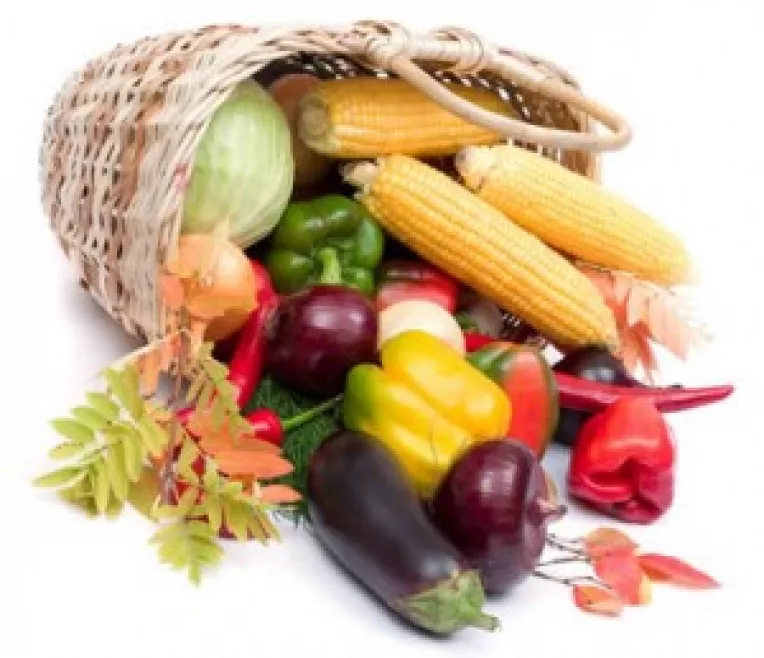 Ministrii tarilor G20 discuta la Paris despre criza alimentelor