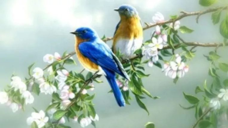 Prognoza meteo pentru periada 20 - 28 Aprilie 2013, in Bucuresti si in fiecare regiune 