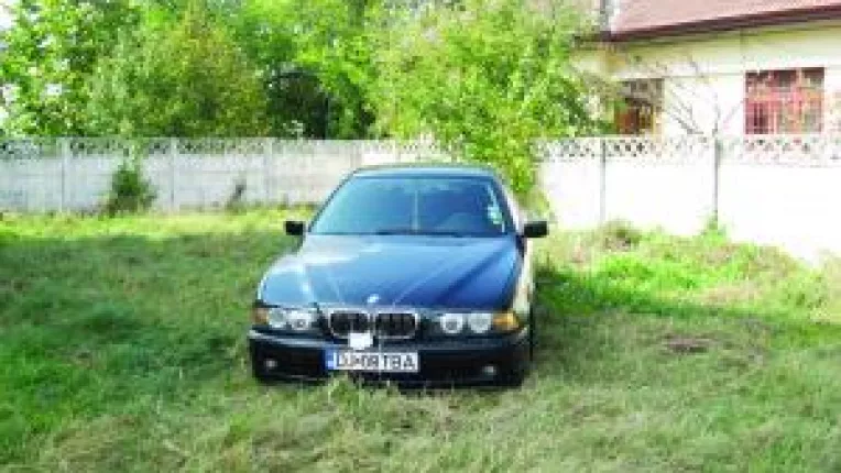 Reteaua lui Cheliuta