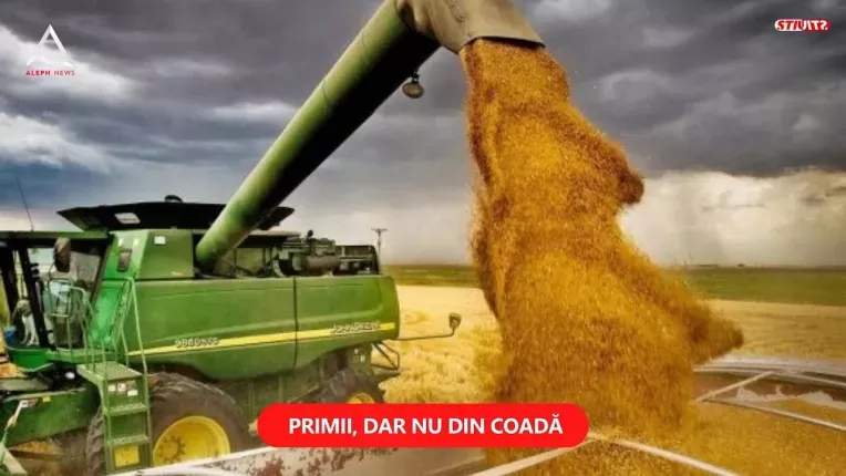 Romania asigura 28% din productia totala de porumb din Uniunea Europeana