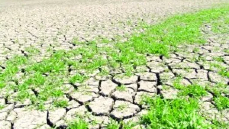 Seceta prelungita creeaza probleme agricultorilor romani